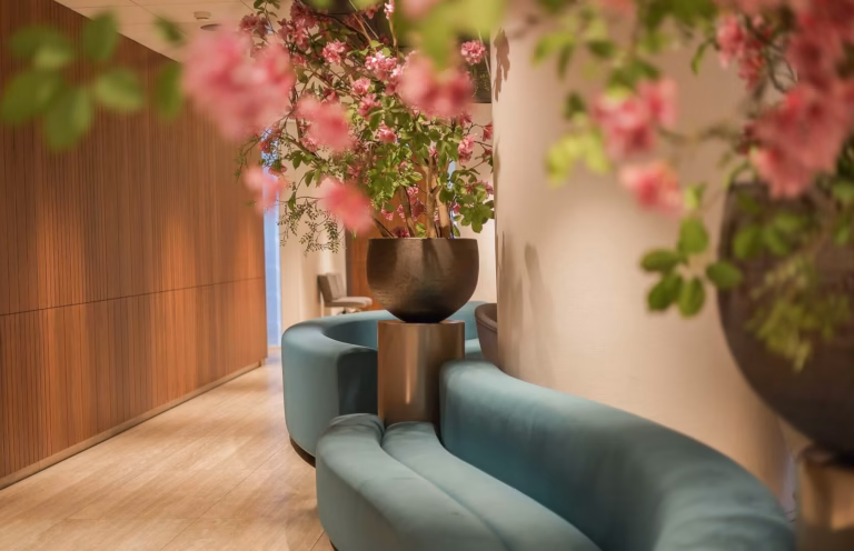 Behandelkamer met een blauwe bank en sierbloemen
